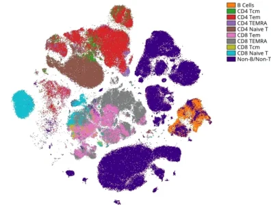 Tsne w manual pops